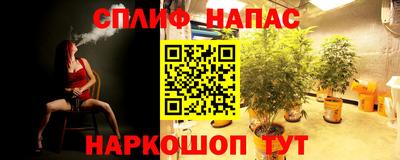 гашиш Боровичи
